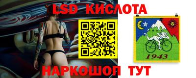 spice Славгород