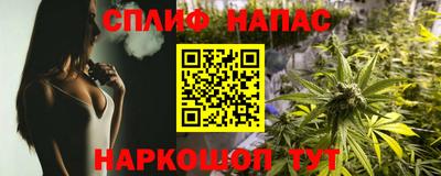 spice Славгород