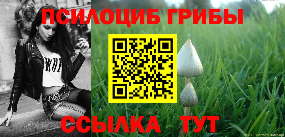 Обнинск  Псилоцибиновые грибы Psilocybine cubensis  Псилоцибиновые грибы Psilocybe  Вход с VPN 