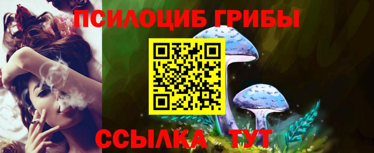 Галлюциногенные грибы Cubensis Обнинск